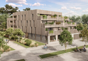 Les Pins de L'Océan